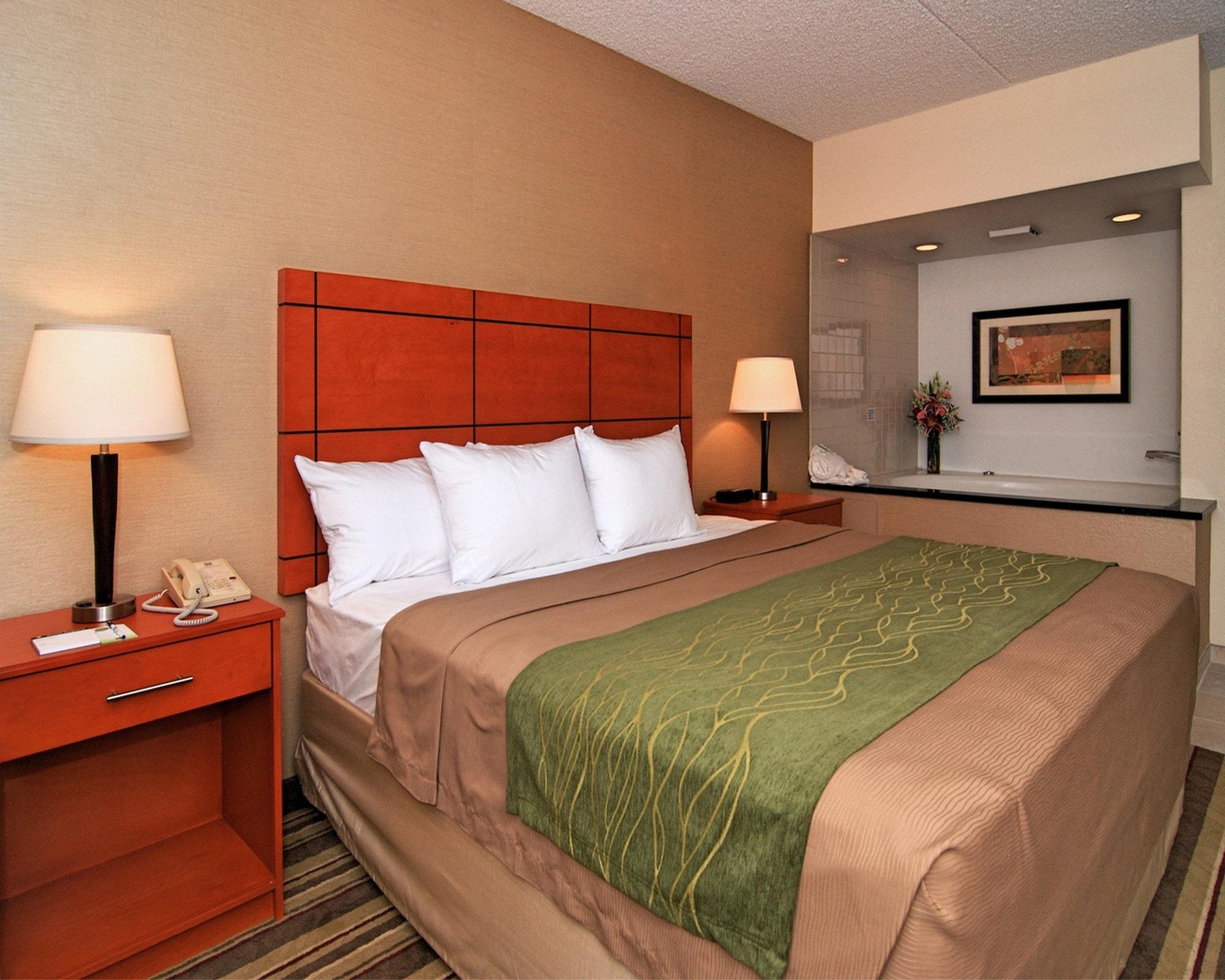 Comfort Inn Metro Airport Romulus Exterior foto