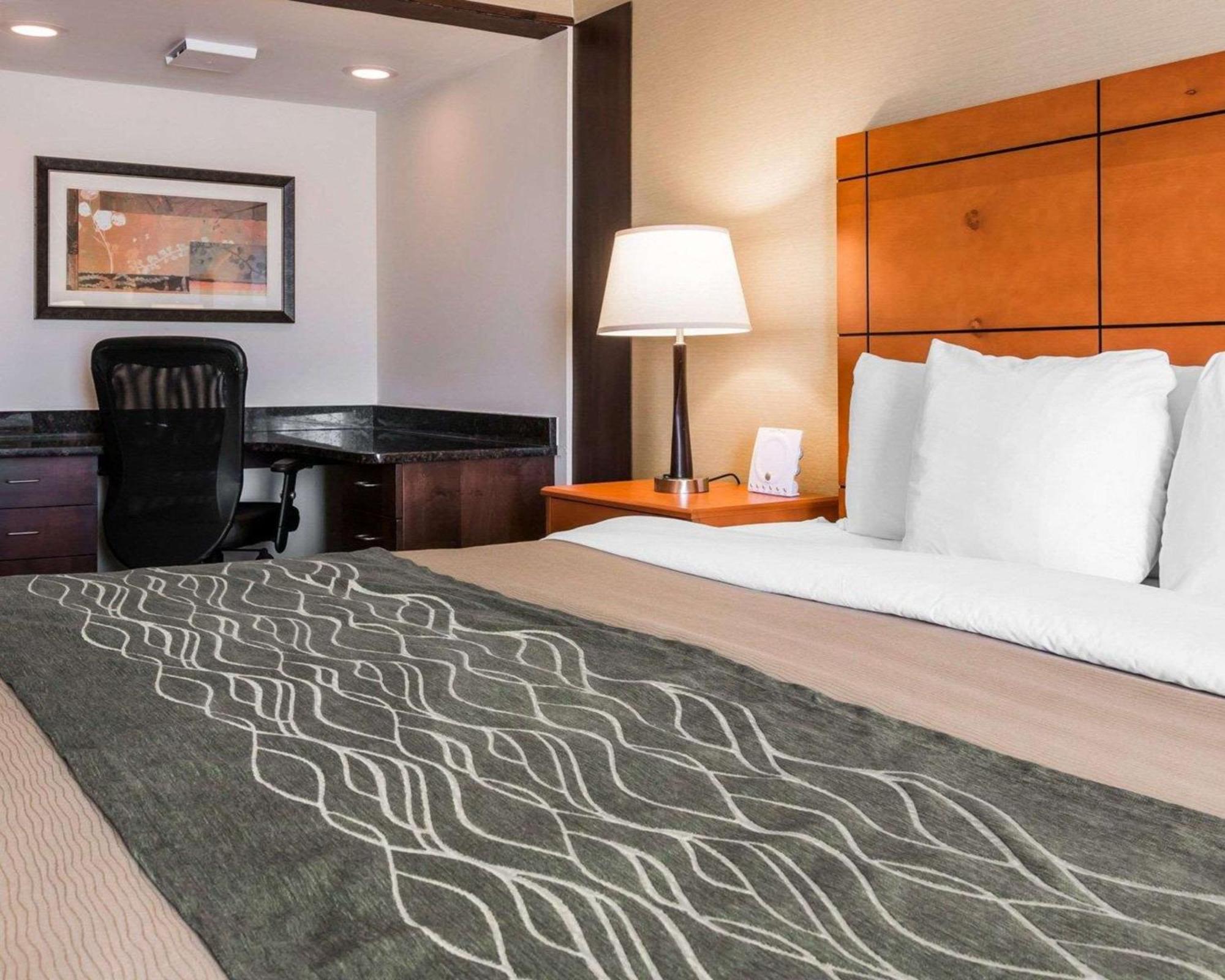 Comfort Inn Metro Airport Romulus Exterior foto